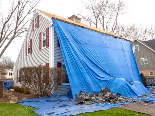 Best Siding Removal and Disposal  in Pilot Mountain, NC